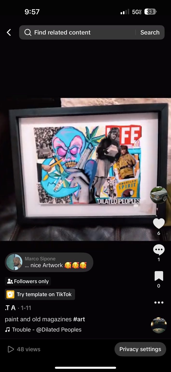 Framed skull collage